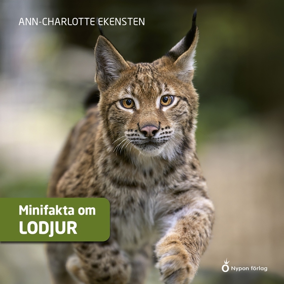 Minifakta om lodjur (ljudbok) av Ann-Charlotte Ekensten