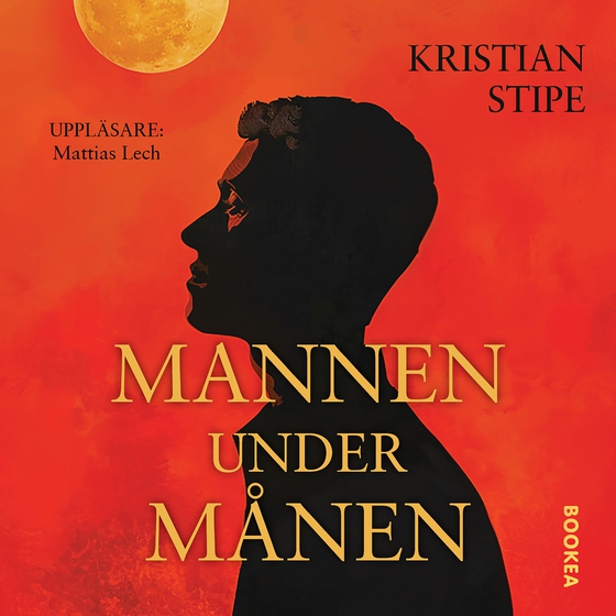 Mannen under månen