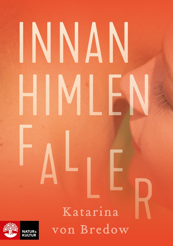 Innan himlen faller (e-bok) av Katarina von Bredow