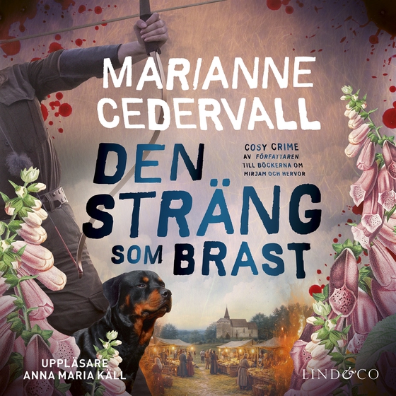 Den sträng som brast