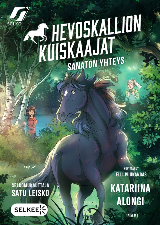 Sanaton yhteys (selkokirja)