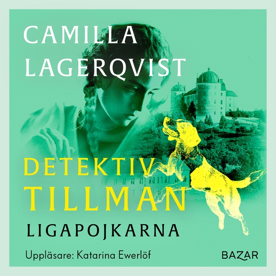 Ligapojkarna