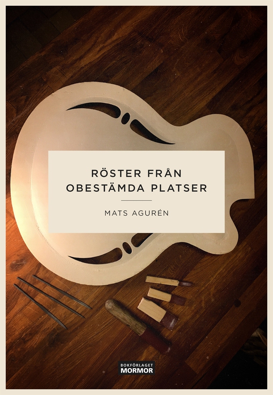 Röster från obestämda platser (e-bok) av Mats Agurén
