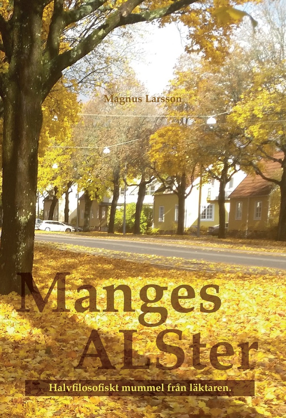 Manges ALSter