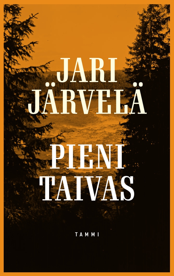 Pieni taivas