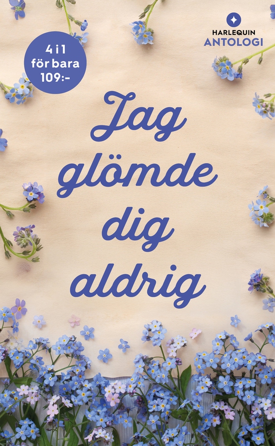 Jag glömde dig aldrig