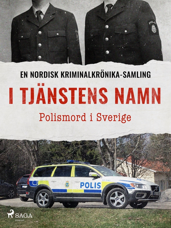 I tjänstens namn – Polismord i Sverige (e-bok) av Diverse 