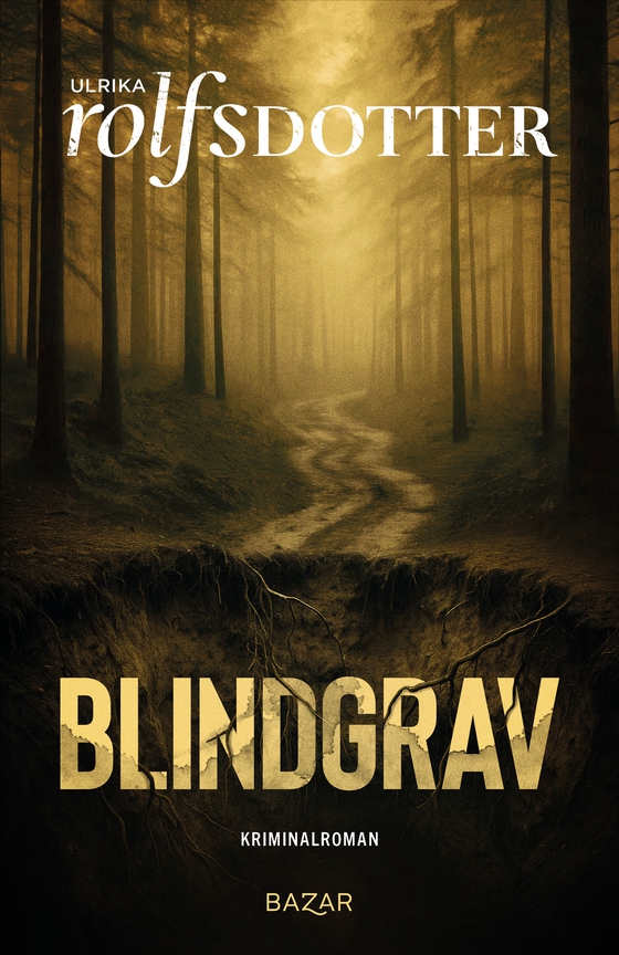Blindgrav (e-bok) av Ulrika Rolfsdotter