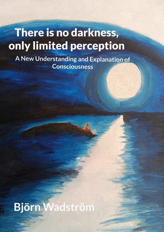 There is no darkness, only limited perception: A New Understanding and Explanation of Consciousness (e-bok) av Björn Wadström