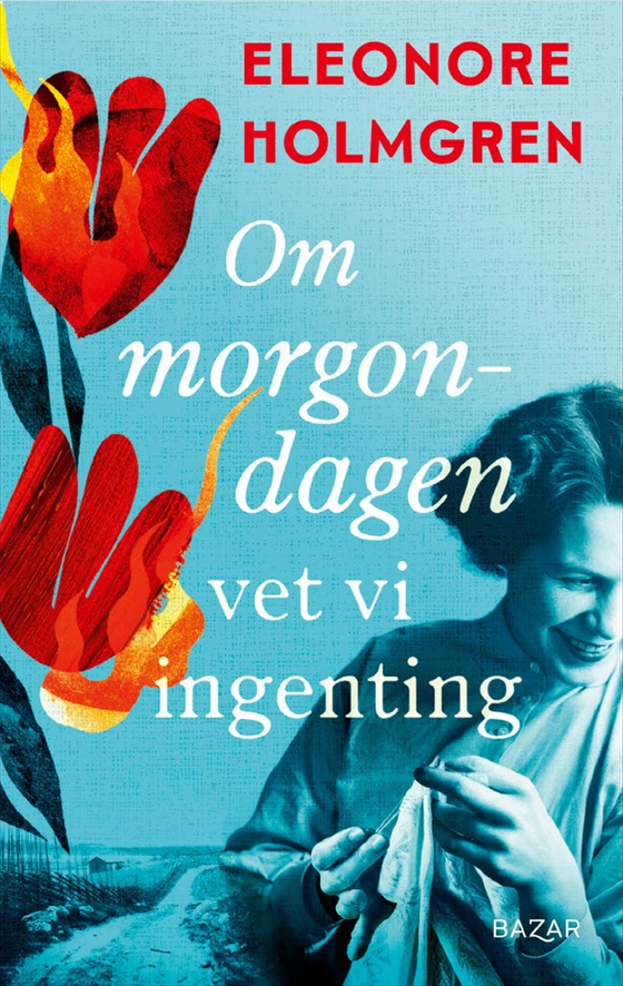 Om morgondagen vet vi ingenting (e-bok) av Eleonore Holmgren
