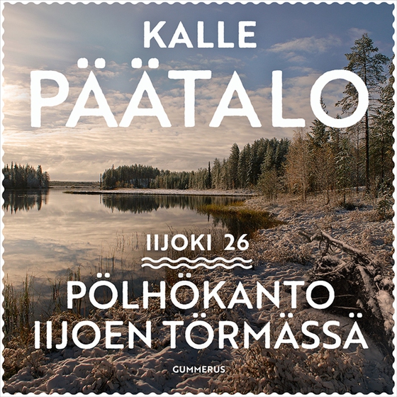 Pölhökanto Iijoen törmässä