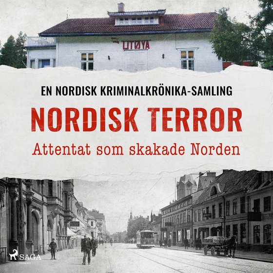 Nordisk terror – Attentat som skakade Norden (ljudbok) av Diverse 