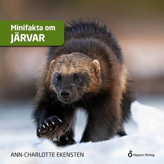 Minifakta om järvar