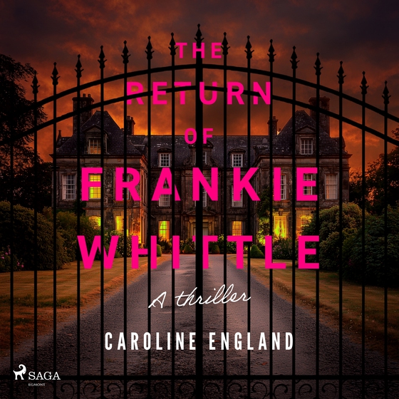 The Return of Frankie Whittle: An unsettling psychological thriller with shock reveals