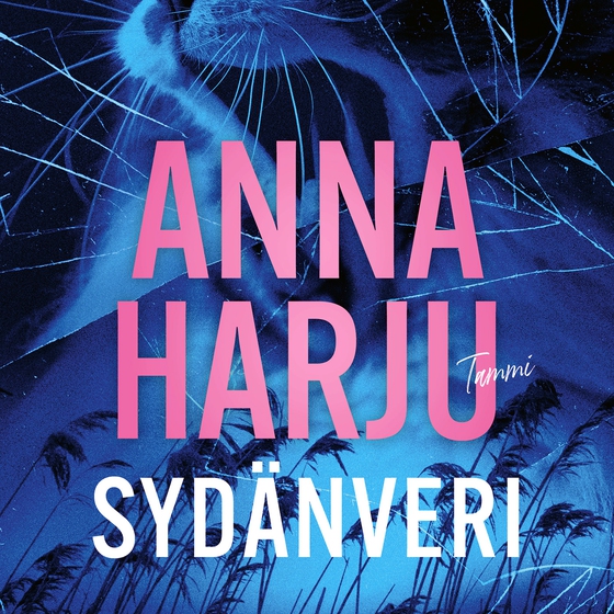 Sydänveri