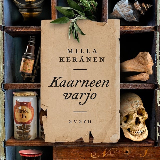 Kaarneen varjo