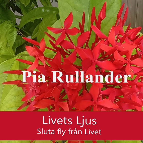 Livets Ljus. Sluta fly från Livet. 