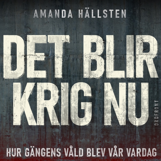 Det blir krig nu: Hur gängens våld blev vår vardag