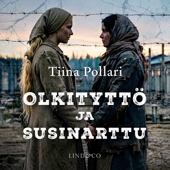 Olkityttö ja susinarttu