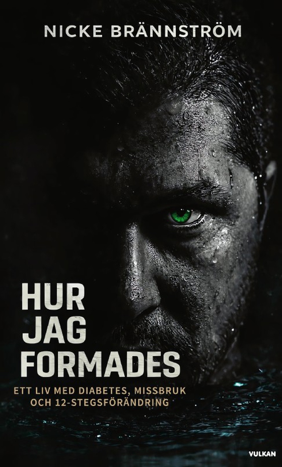 Hur jag formades : ett liv med diabetes, missbruk och 12-stegsförändring.