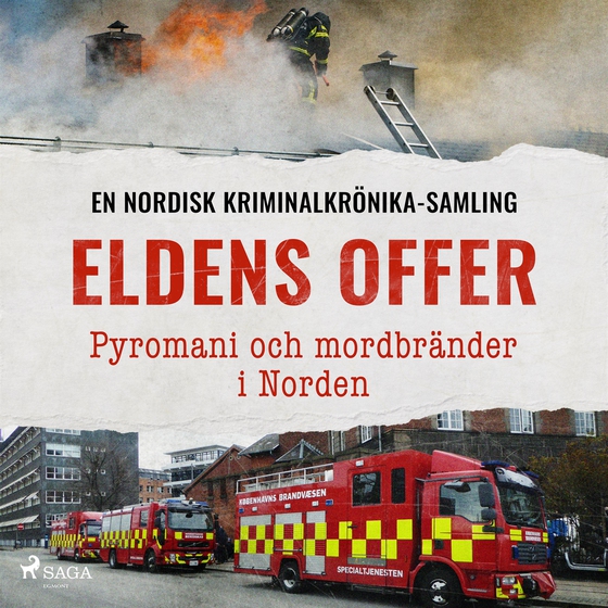 Eldens offer – Pyromani och mordbränder i Norden