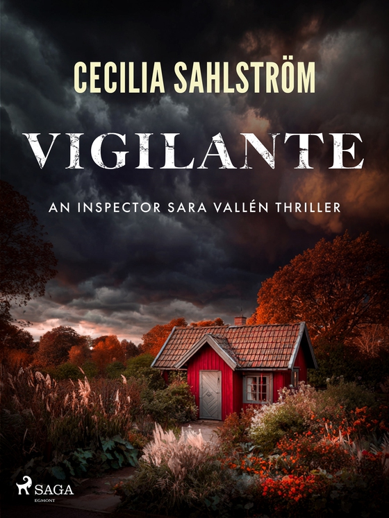 Vigilante: A gritty Swedish police procedural