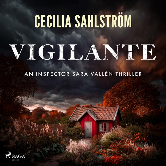 Vigilante: A gritty Swedish police procedural