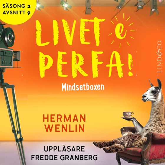 Mindsetboxen (S2E9 Livet e perfa!)