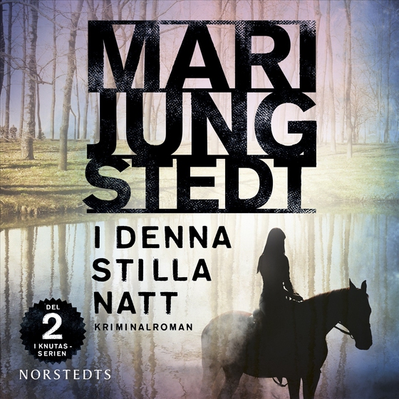 I denna stilla natt