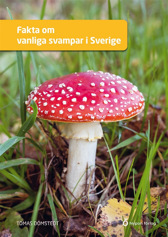 Fakta om vanliga svampar i Sverige