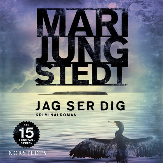 Jag ser dig (ljudbok) av Mari Jungstedt