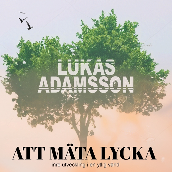 Att mäta lycka: Inre utveckling i en ytlig värld
