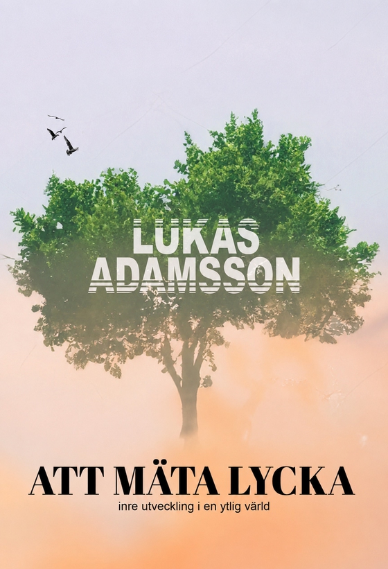 Att mäta lycka: Inre utveckling i en ytlig värld (e-bok) av Lukas Adamsson