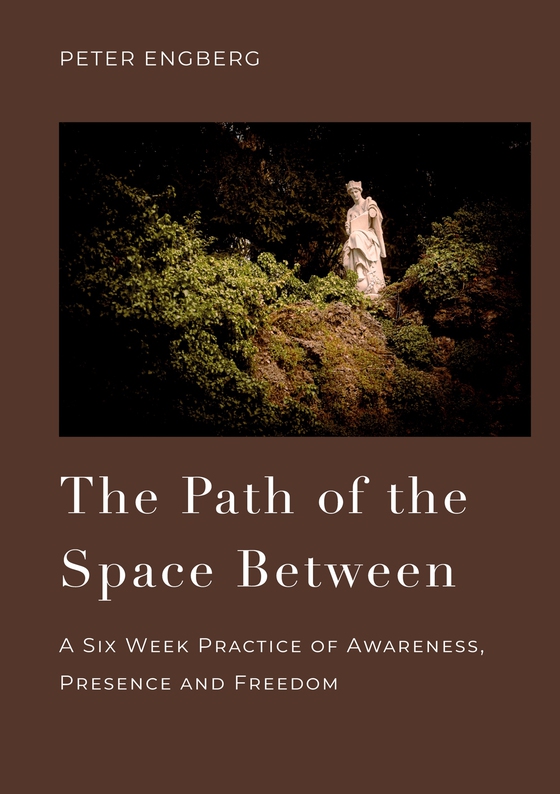 The Path of the Space Between: A Six Week Practice of Awareness, Presence and Freedom