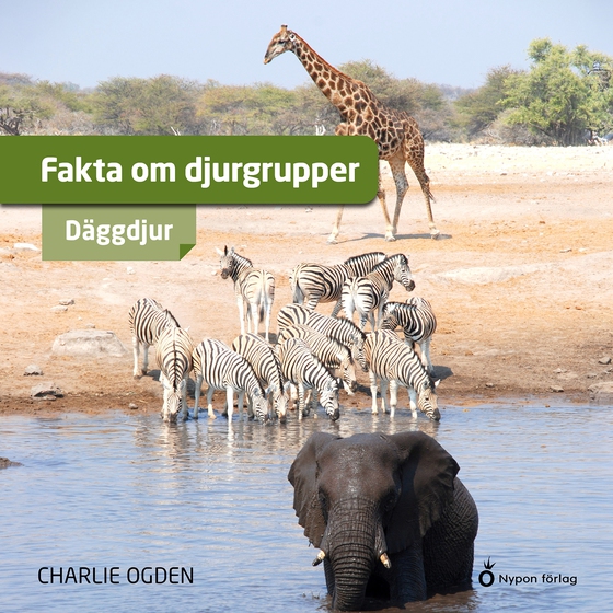 Fakta om djurgrupper - däggdjur