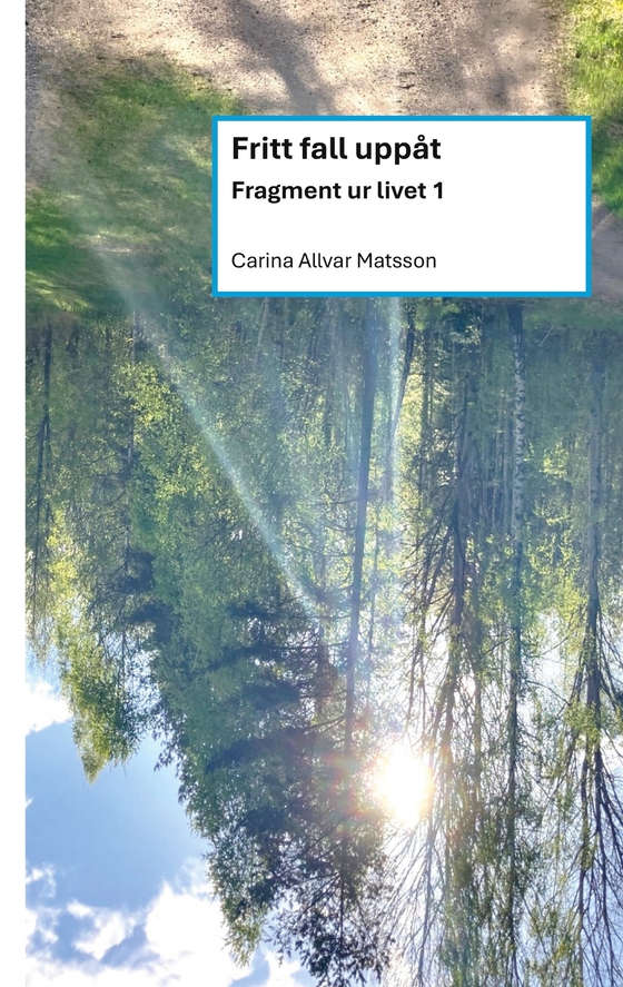 Fritt fall uppåt: Fragment ur livet 1
