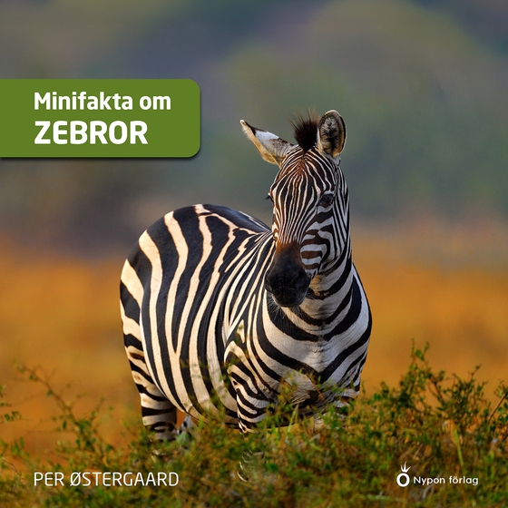 Minifakta om zebror
