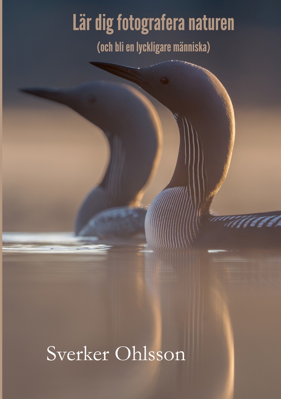 Lär dig fotografera naturen: och bli en lyckligare människa