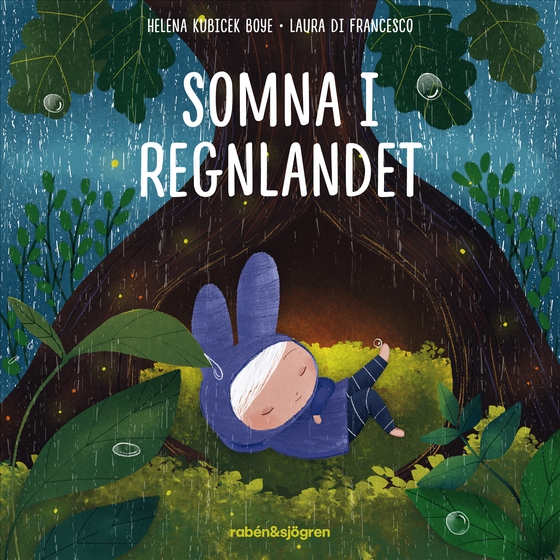 Somna i Regnlandet (ljudbok) av Helena Kubicek Boye