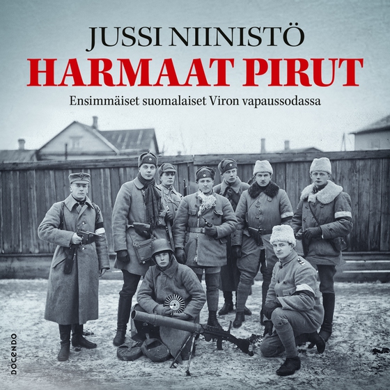 Harmaat pirut