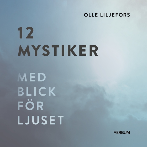 12 mystiker : med blick för ljuset