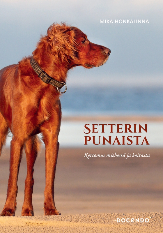 Setterinpunaista