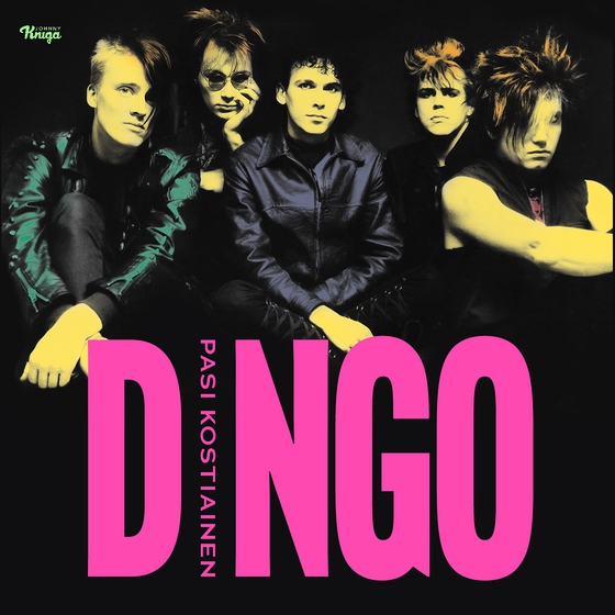 Dingo (ljudbok) av Pasi Kostiainen