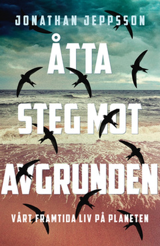 Åtta steg mot avgrunden