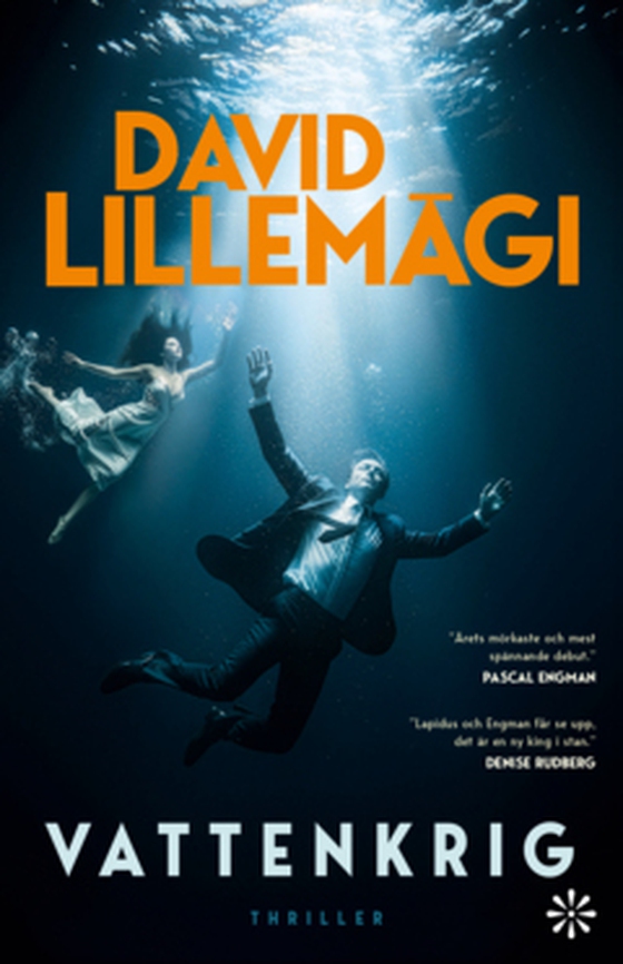Vattenkrig (e-bok) av David Lillemägi