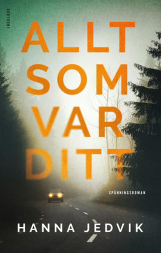 Allt som var ditt (e-bok) av Hanna Jedvik