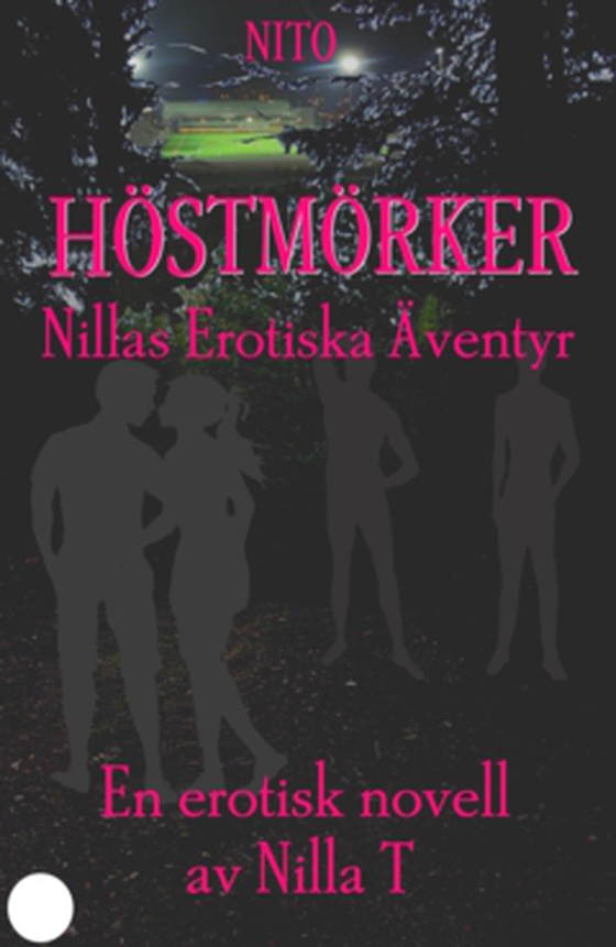 Höstmörker 