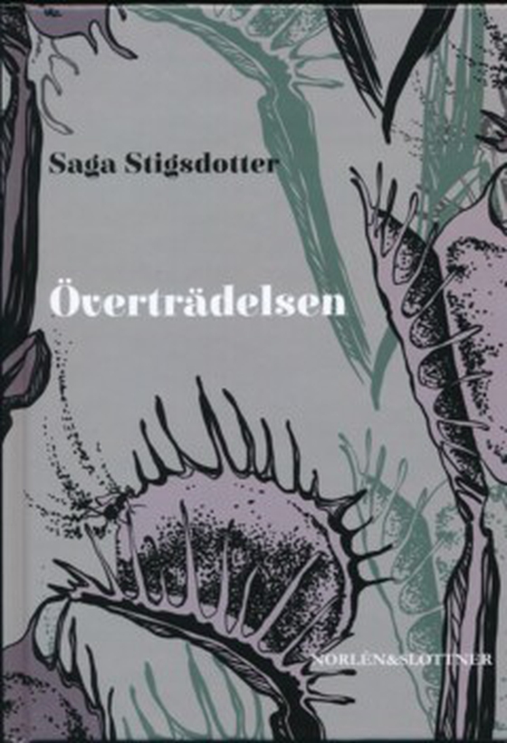 Överträdelsen
